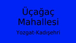 Üçağaç Mahallesi Thumbnail