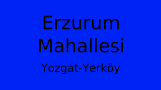 Erzurum Mahallesi Thumbnail