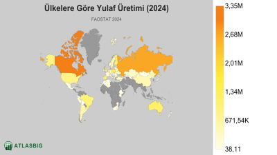 Ülkelere Göre Yulaf Üretimi (2024) Thumbnail