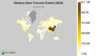 Ülkelere Göre Yumurta Üretimi 2026 Thumbnail