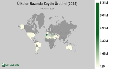 Ülkeler Bazında Zeytin Üretimi 2026 Thumbnail