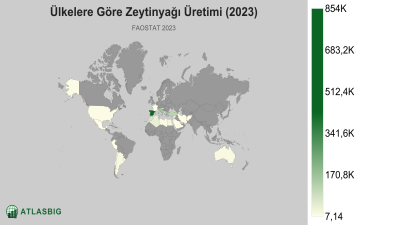 Ülkelere Göre Zeytinyağı Üretimi (2023) Thumbnail