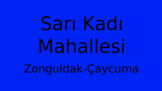 Sarı Kadı Mahallesi Thumbnail